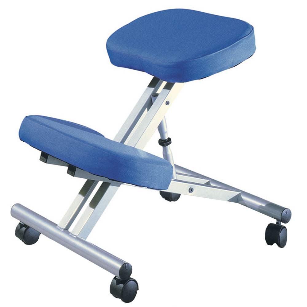 Ergo_chair_blue